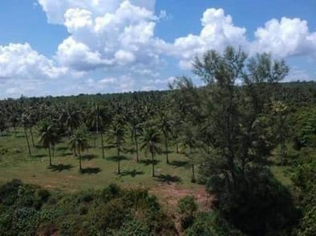 ���Թ�ŧ��� ��ШǺ���բѹ��