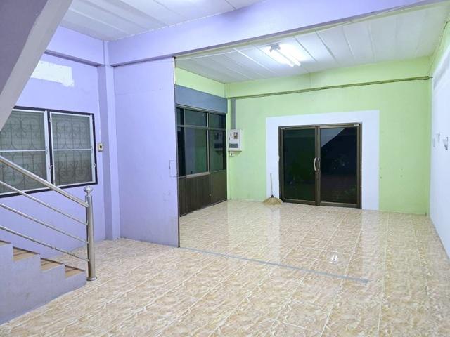 ⡴ѧ����Ҵ�ҧ�͹ �ҧ�͹