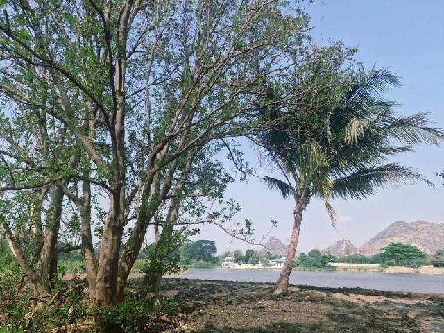 ���Թ���ͧ�ҭ������ �ҭ������