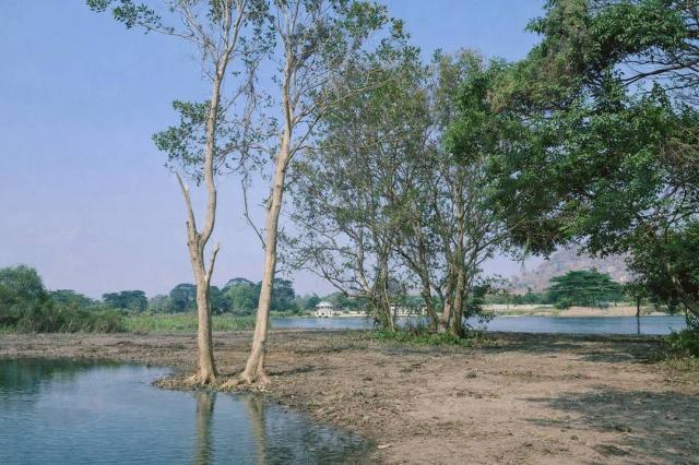 ���Թ�ŧ�˭� �ҭ������