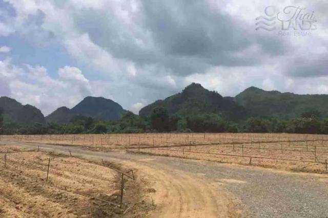 ���Թ�觢�� �ҭ������