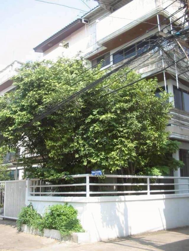 ��ǹ�������˹�Һ�ҹ �Ѳ��