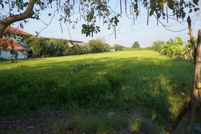 ���Թ�Դ��� �ҧ��Ƿͧ