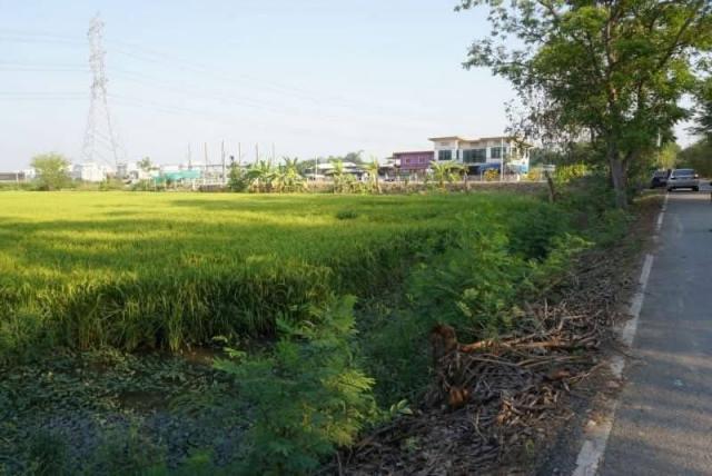 ���Թ˹�ҡ��ҧ�Դ��� �ҧ��Ƿͧ