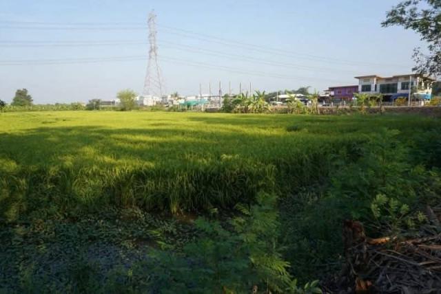 ���Թ�Դ�������ҳ �ҧ��Ƿͧ