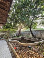 ���Թ ���⢹�