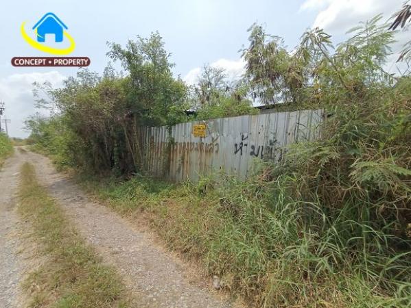 ⡴ѧ����Ҵ��é�ͧ��ا �Ҵ��кѧ
