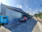 ⡴ѧ���º��ǹ �ѹ�����