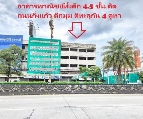 ������ ⡴ѧ 217 ���ҧ��