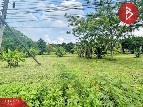 ���Թ�ç��Һ�Ż�Ш������ �ѹ�����