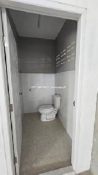 ������⡴ѧ �ź���