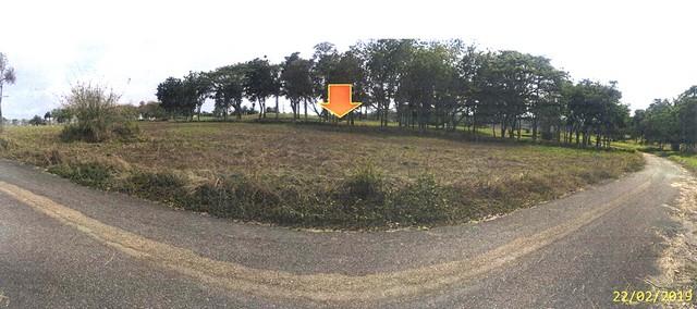ขายที่ดิน บางละมุง ขายที่ดิน บางละมุง