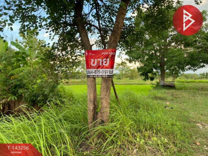 ที่ดิน หนองบัวลำภู ที่ดิน หนองบัวลำภู