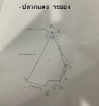 �����ҷ��Թ ���ͧ
