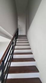 ����Ҥ�þҳԪ�� �ҧ���� �������