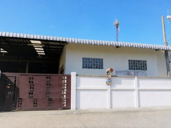 �ç�ҹ ����Թ 95,700 �ҷ/��͹