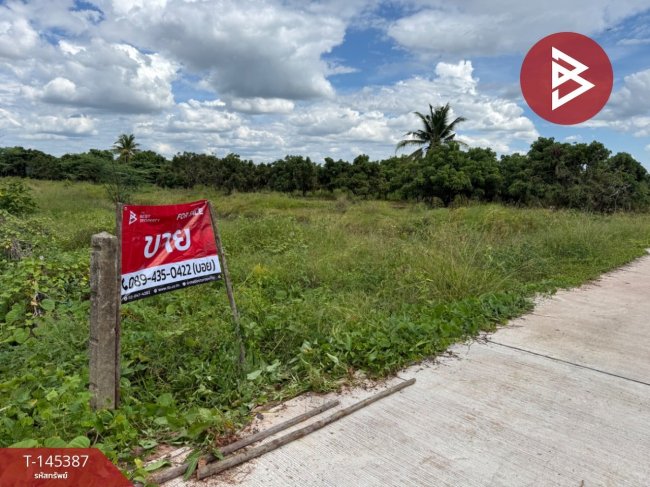 ขายที่ดิน ลำพูน ขายที่ดิน ลำพูน