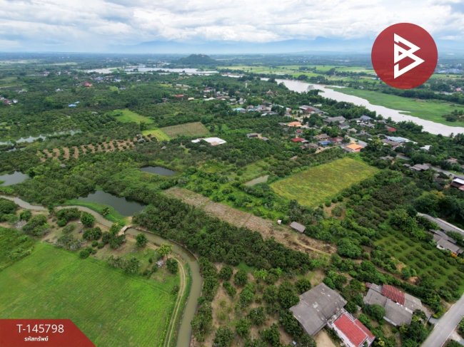 ขายที่ดิน ลำพูน ขายที่ดิน ลำพูน