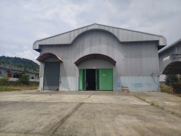 �ç�ҹ 2000 ���ҧ���� ������