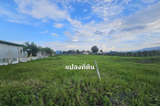 ที่ดิน ใกล้มหาวิทยาลัย ที่ดิน ใกล้มหาวิทยาลัย