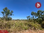 ���Թ�Ԥ��ص��ˡ�����Թ������ ��Ҩչ����