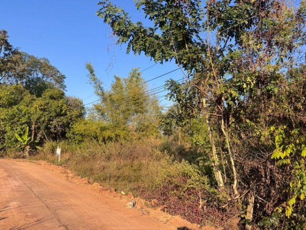 ขายที่ดิน โพนพิสัย หนองคาย ขายที่ดิน โพนพิสัย หนองคาย