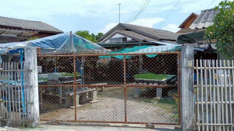 บ้านเชียงใหม่ 90 ตารางวา บ้านเชียงใหม่ 90 ตารางวา