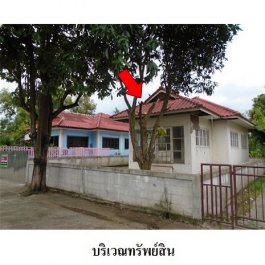บ้านหนองเสือ ปทุมธานี บ้านหนองเสือ ปทุมธานี
