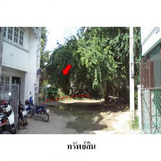 ที่ดิน ใกล้มหาวิทยาลัย ที่ดิน ใกล้มหาวิทยาลัย