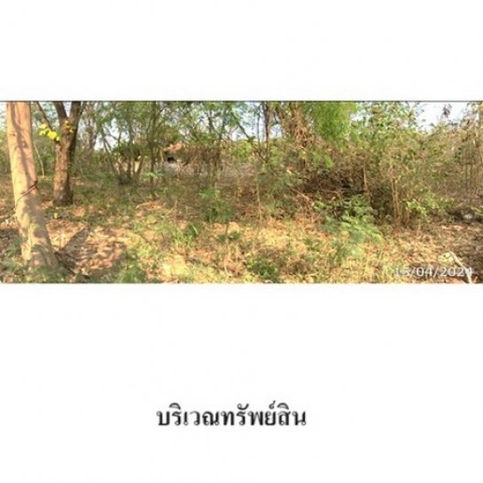 ��·��Թ �ҳ����ѡɺ��� ��ᾧྪ�