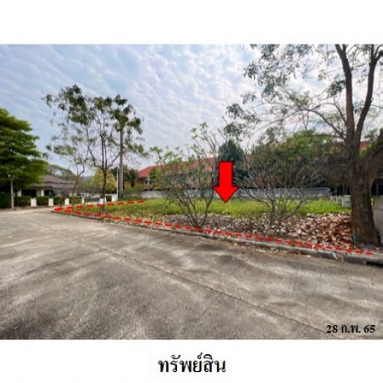 ขายที่ดิน ไม่เกิน 4,070,000 บาท ขายที่ดิน ไม่เกิน 4,070,000 บาท