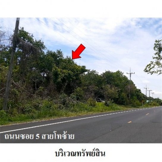 ขายที่ดิน เมืองสระบุรี สระบุรี ขายที่ดิน เมืองสระบุรี สระบุรี