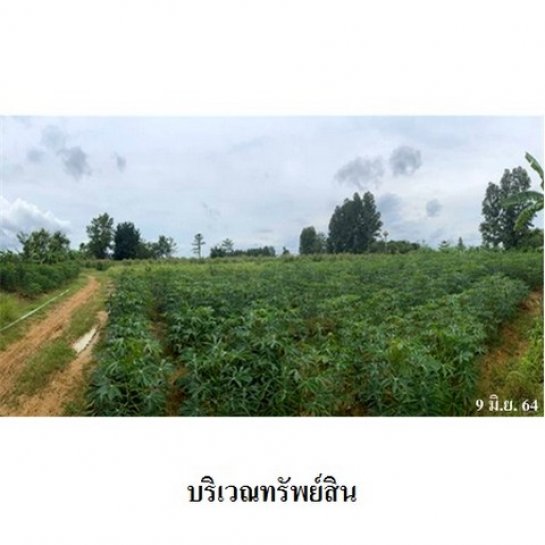 ���Թ ��� 35,330,000 �ҷ ������