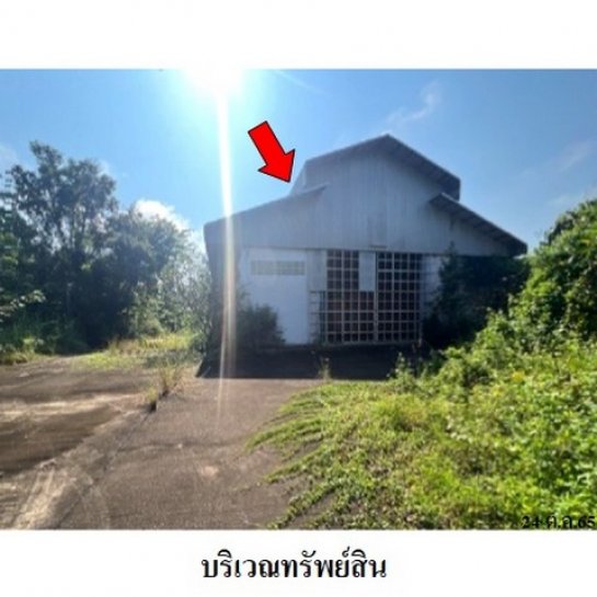 ���⡴ѧ���� 3,750,000 �ҷ����