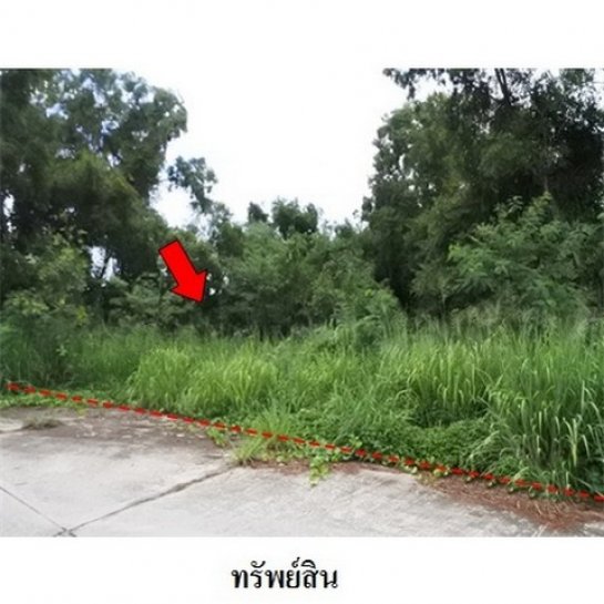 ที่ดินใกล้โรงเรียน บางละมุง ที่ดินใกล้โรงเรียน บางละมุง
