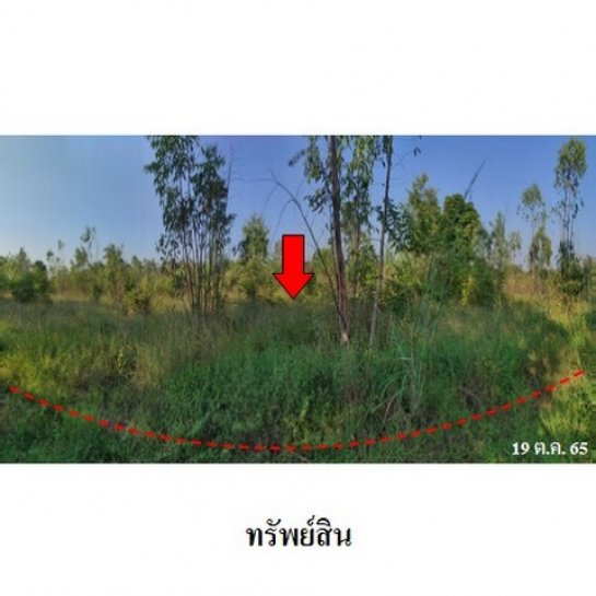 ขายที่ดิน ชัยภูมิ ขายที่ดิน ชัยภูมิ