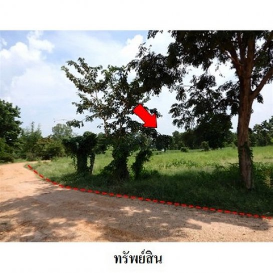ขายที่ดิน ชัยภูมิ ขายที่ดิน ชัยภูมิ