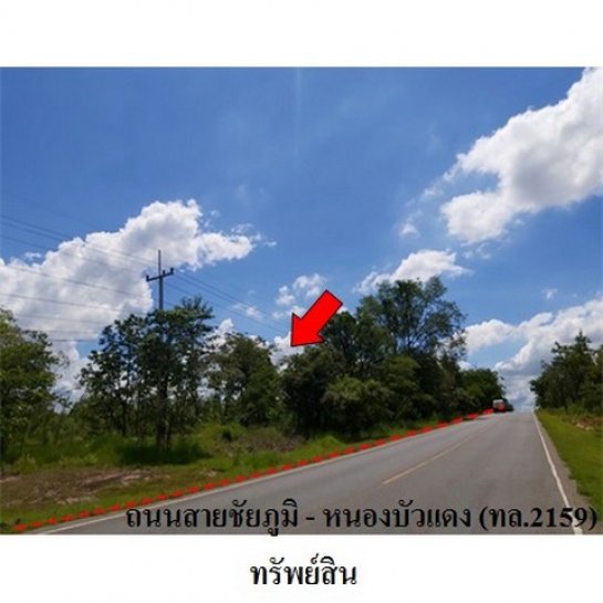 ขายที่ดิน ชัยภูมิ ขายที่ดิน ชัยภูมิ