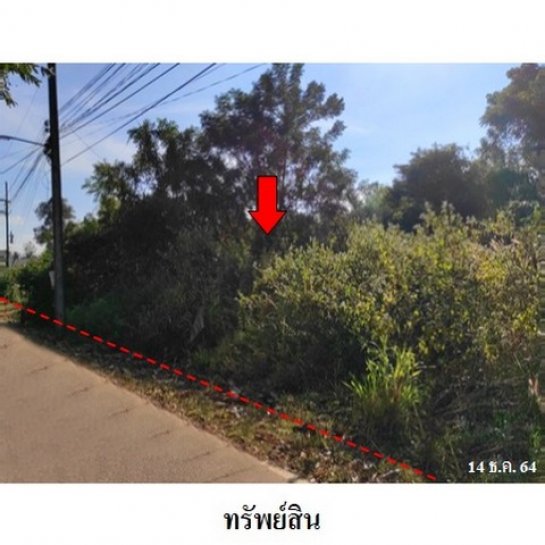 ที่ดิน โรงพยาบาล ที่ดิน โรงพยาบาล