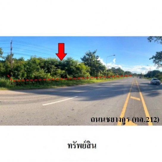 ขายที่ดิน โพนพิสัย หนองคาย ขายที่ดิน โพนพิสัย หนองคาย
