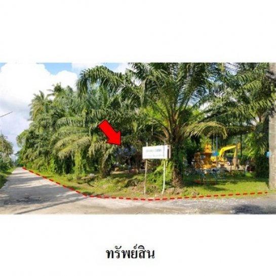 ขายที่ดิน นครศรีธรรมราช ขายที่ดิน นครศรีธรรมราช