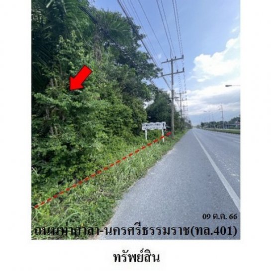 ขายที่ดิน นครศรีธรรมราช ขายที่ดิน นครศรีธรรมราช