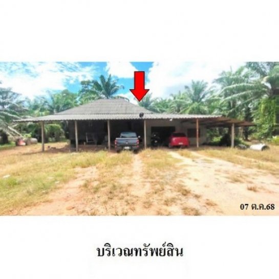 ขายที่ดิน สุราษฎร์ธานี ขายที่ดิน สุราษฎร์ธานี