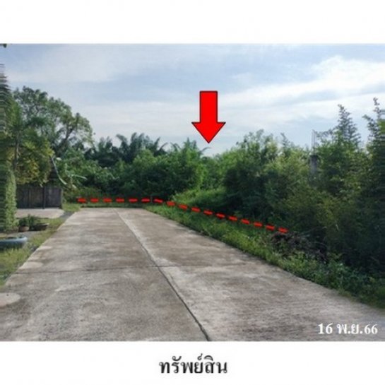 ขายที่ดิน สุราษฎร์ธานี ขายที่ดิน สุราษฎร์ธานี