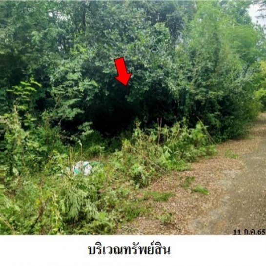 ที่ดิน ชะอำ เพชรบุรี ที่ดิน ชะอำ เพชรบุรี