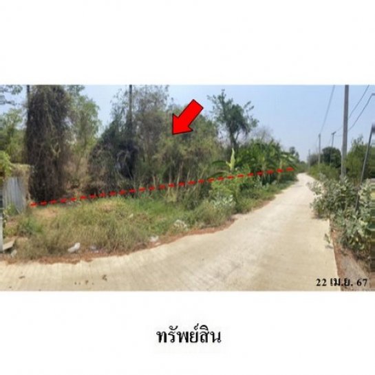 ขายที่ดิน วัดโพธิ์ ขายที่ดิน วัดโพธิ์