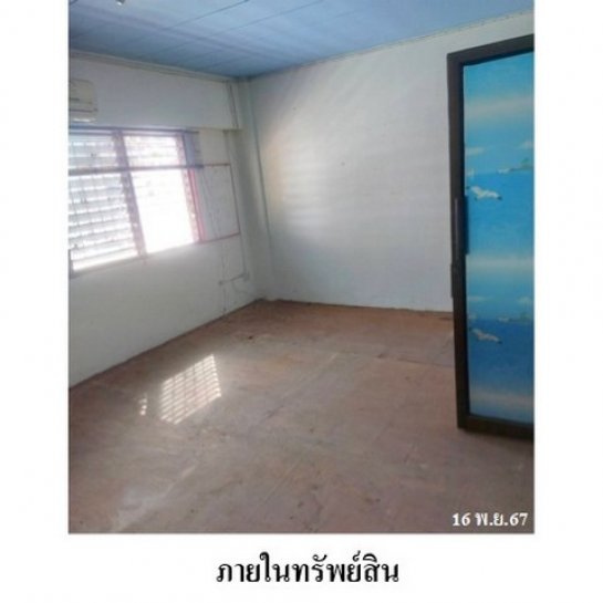 �Ҥ�þҳԪ�����ͧ���� ����