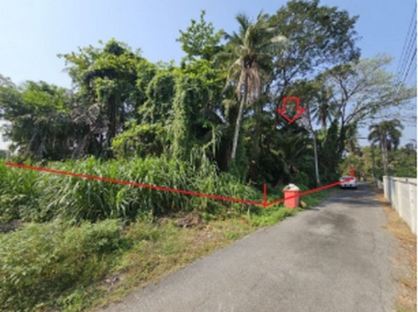 ที่ดิน ที่ว่าการ ที่ดิน ที่ว่าการ