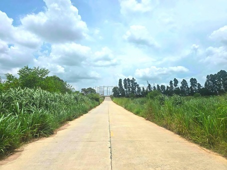 ขายที่ดิน ห้องน้ำส่วนตัว ศรีราชา ขายที่ดิน ห้องน้ำส่วนตัว ศรีราชา