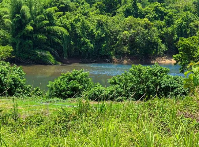 ที่ดิน วิวภูเขา ที่ดิน วิวภูเขา